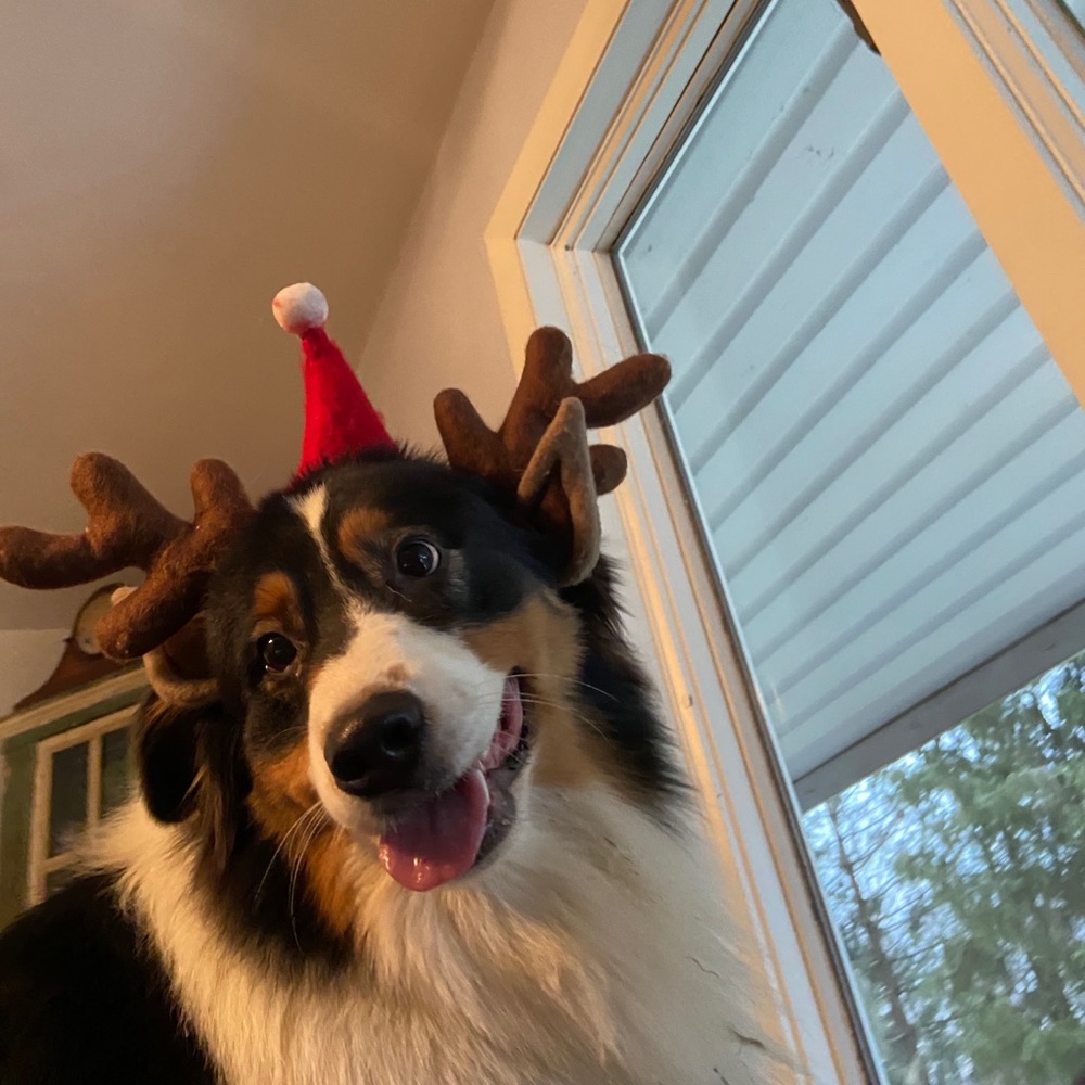 Meet your Posher, Janee